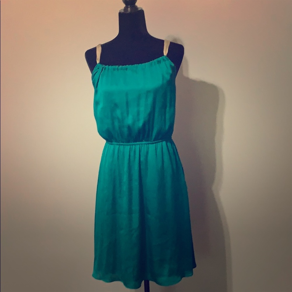 The Limited Dress